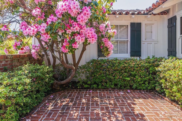 4 Cloud View Cir, Sausalito, CA 94965 - view of patio