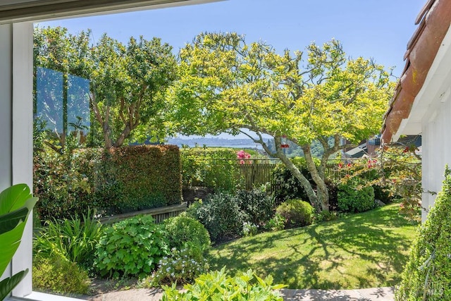 4 Cloud View Cir, Sausalito, CA 94965 - view of yard