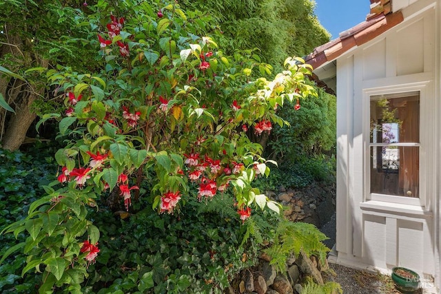 4 Cloud View Cir, Sausalito, CA 94965 - view of yard