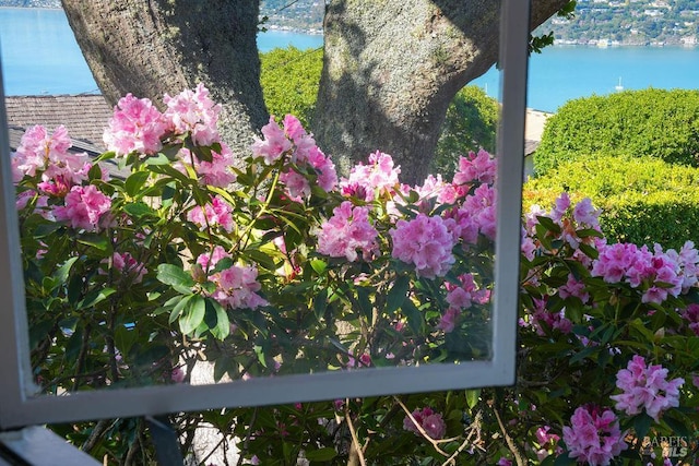 4 Cloud View Cir, Sausalito, CA 94965 - detailed view