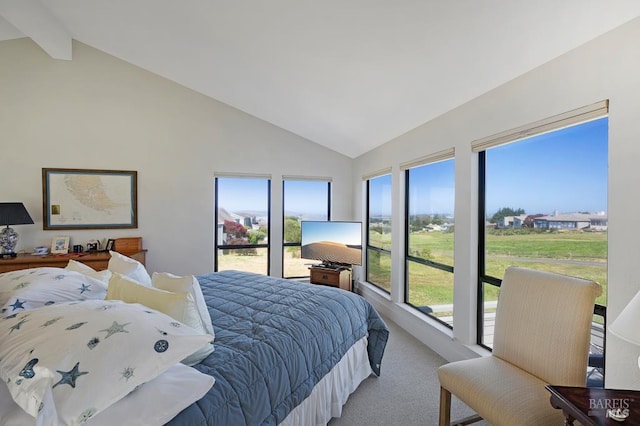 21199 Hummingbird Ct, Bodega Bay, CA 94923 - bedroom featuring carpet flooring, multiple windows, high vaulted ceiling, and beam ceiling