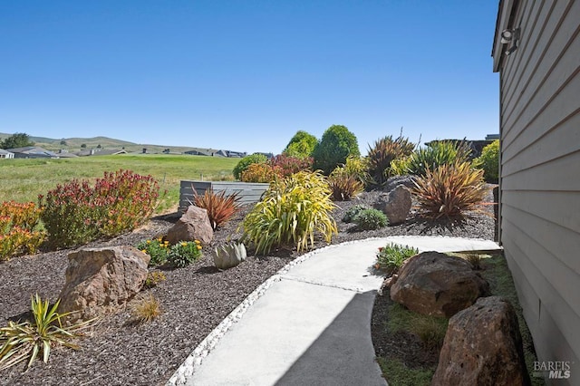 21199 Hummingbird Ct, Bodega Bay, CA 94923 - view of yard