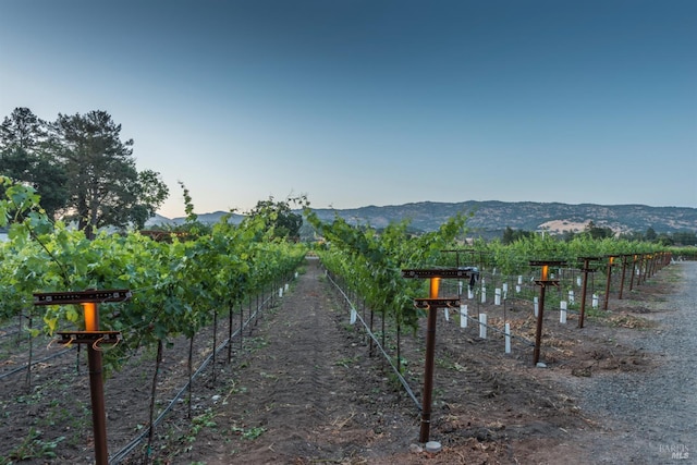 4223 Silverado Trl, Napa, CA 94558 - view of yard with agricultural area, a view of countryside, and a mountain view