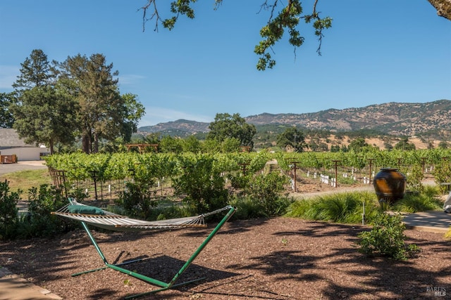4223 Silverado Trl, Napa, CA 94558 - view of yard featuring a mountain view
