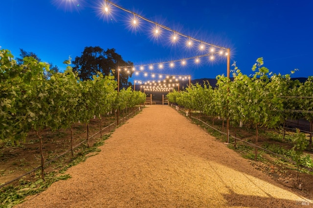 4223 Silverado Trl, Napa, CA 94558 - view of yard at twilight