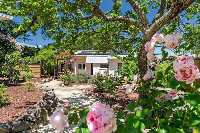 10 Waldruhe Hts, Glen Ellen, CA 95442 - view of yard
