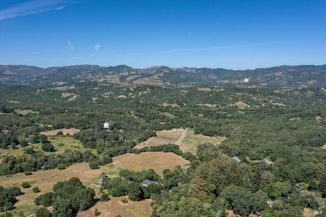 10 Waldruhe Hts, Glen Ellen, CA 95442 - drone / aerial view of mountains