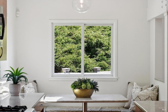 523 W Fairview Ave, Mill Valley, CA 94941 - view of sitting room
