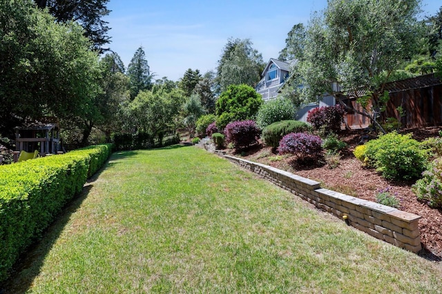 523 W Fairview Ave, Mill Valley, CA 94941 - view of yard