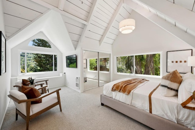 523 W Fairview Ave, Mill Valley, CA 94941 - bedroom with carpet flooring and a closet