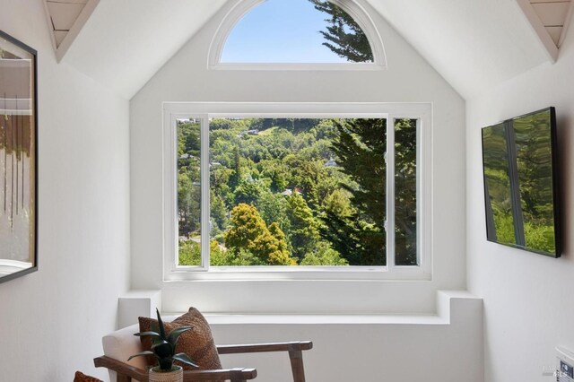 523 W Fairview Ave, Mill Valley, CA 94941 - detailed view