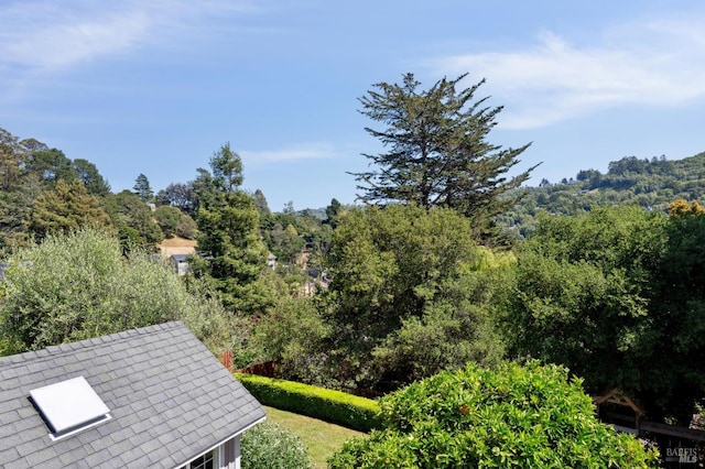 523 W Fairview Ave, Mill Valley, CA 94941 - bird's eye view of a forest