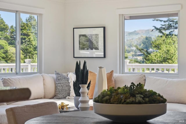 523 W Fairview Ave, Mill Valley, CA 94941 - living area featuring a mountain view