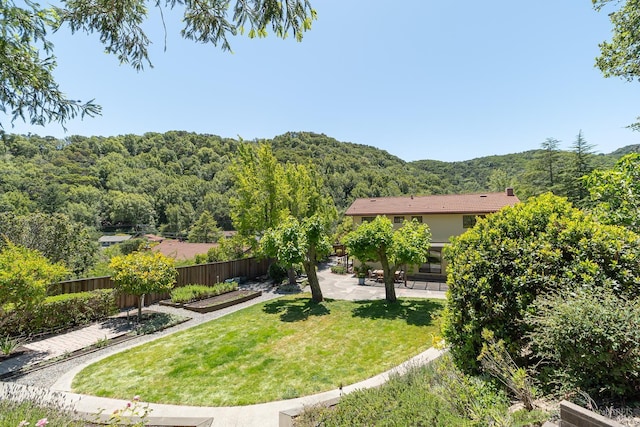 522 Blackstone Dr, San Rafael, CA 94903 - view of yard featuring a view of trees and a patio area