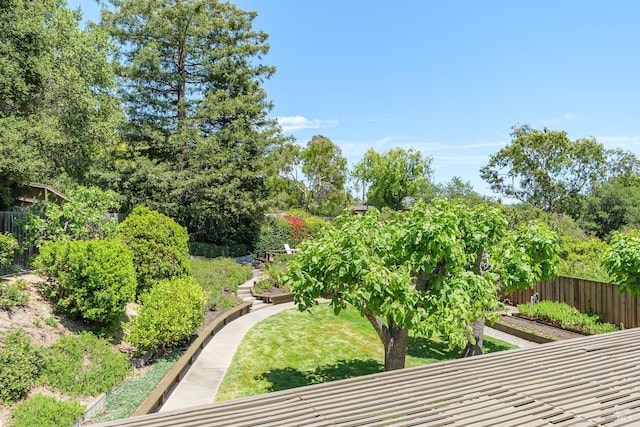 522 Blackstone Dr, San Rafael, CA 94903 - view of yard featuring a garden