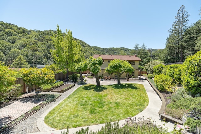522 Blackstone Dr, San Rafael, CA 94903 - surrounding community featuring a patio area and a view of trees