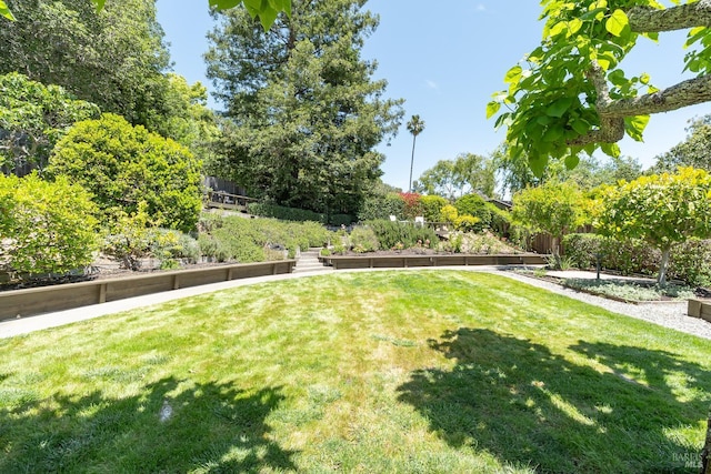522 Blackstone Dr, San Rafael, CA 94903 - view of yard with a vegetable garden