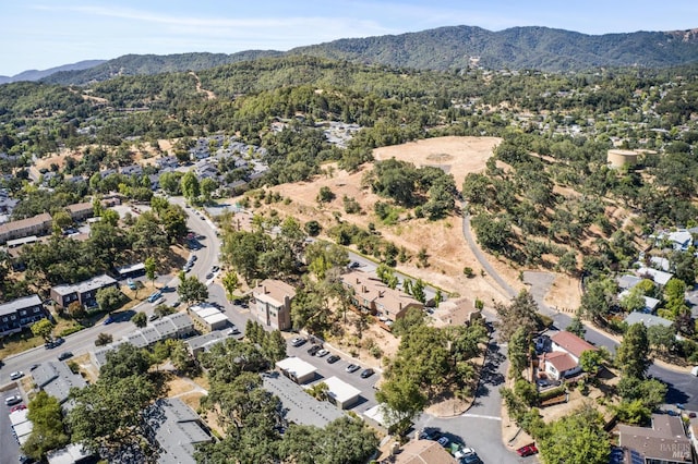 1259 Royal Oak Ter Unit A, Novato, CA 94947 - aerial overview of property's location with mountains and nearby suburban area
