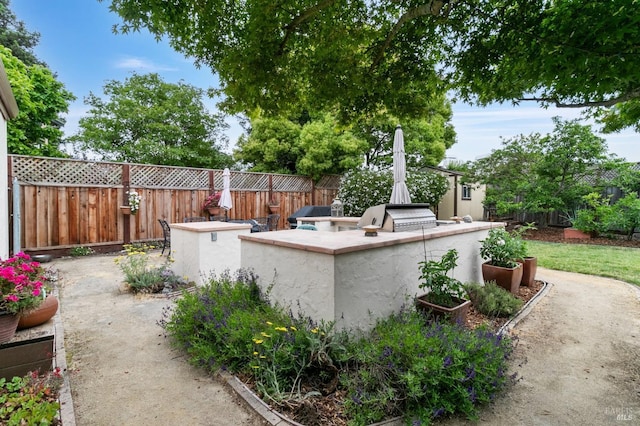 809 Muscat Ct, Petaluma, CA 94954 - fenced backyard featuring a patio area