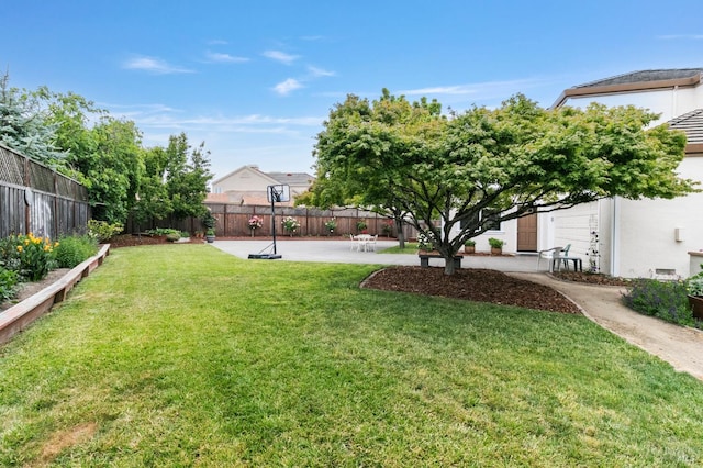 809 Muscat Ct, Petaluma, CA 94954 - view of yard with a patio area