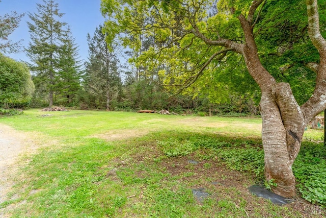 43390 Comptche Ukiah Rd, Mendocino, CA 95460 - view of grassy yard featuring a forest view