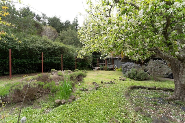 43390 Comptche Ukiah Rd, Mendocino, CA 95460 - view of grassy yard