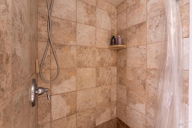 43390 Comptche Ukiah Rd, Mendocino, CA 95460 - bathroom view of a tile shower
