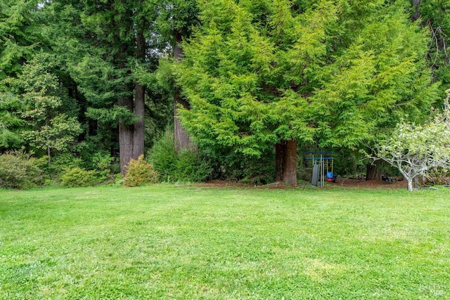 43390 Comptche Ukiah Rd, Mendocino, CA 95460 - view of grassy yard