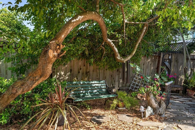 2010 Caulfield Ln, Petaluma, CA 94954 - view of yard