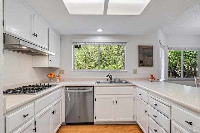 2010 Caulfield Ln, Petaluma, CA 94954 - kitchen with appliances with stainless steel finishes, a sink, under cabinet range hood, healthy amount of natural light, and recessed lighting