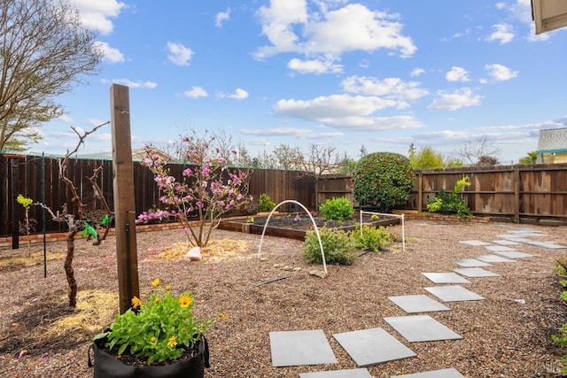3524 Cascade St, Napa, CA 94558 - fenced backyard with a vegetable garden