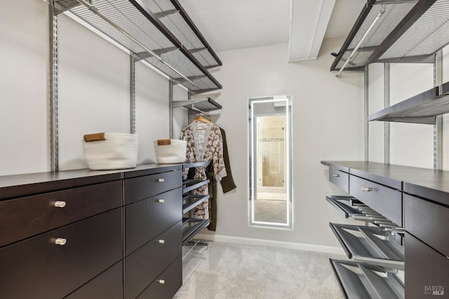 442 Laverne Ave, Mill Valley, CA 94941 - walk in closet featuring light colored carpet
