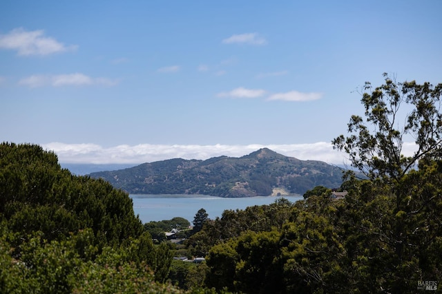 90 George Ln, Sausalito, CA 94965 - view of mountain backdrop with a nearby body of water
