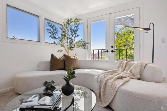 84 Eastview Ave, Tiburon, CA 94920 - living area with french doors and baseboards