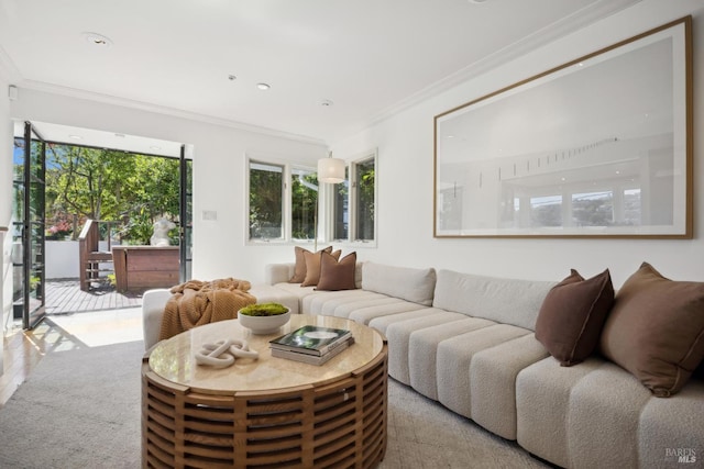 84 Eastview Ave, Tiburon, CA 94920 - living room featuring ornamental molding, carpet floors, and recessed lighting