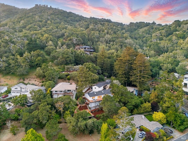 21 Sheridan Ct, Mill Valley, CA 94941 - aerial perspective of suburban area featuring a heavily wooded area