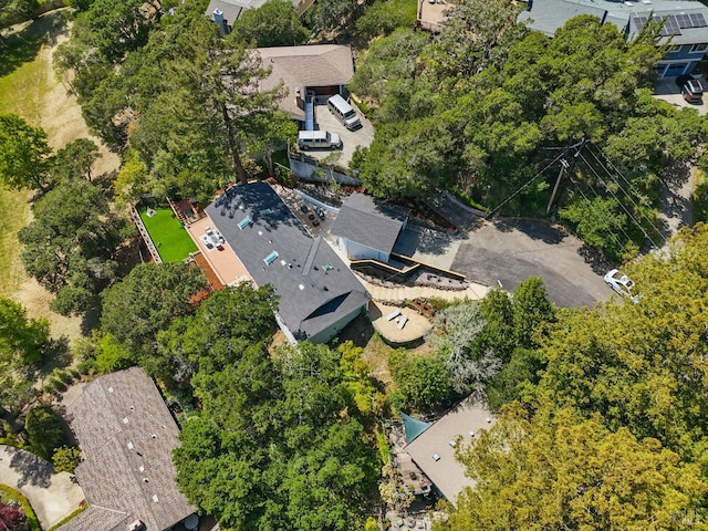 21 Sheridan Ct, Mill Valley, CA 94941 - aerial view