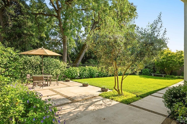 907 Serendipity Way, Napa, CA 94558 - fenced backyard featuring a patio and view of scattered trees