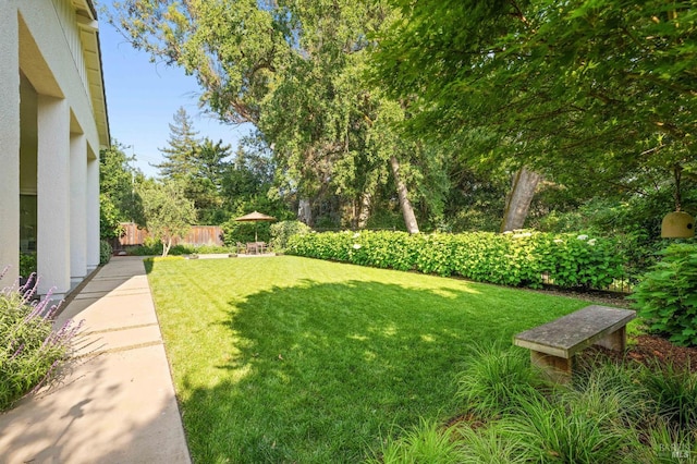 907 Serendipity Way, Napa, CA 94558 - view of yard