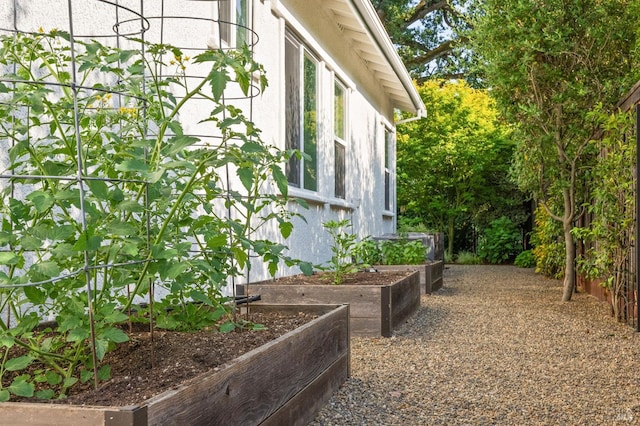 907 Serendipity Way, Napa, CA 94558 - view of home's exterior with a vegetable garden and stucco siding