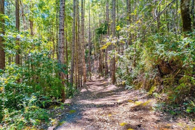 0 16125 Honey Ridge Rd, Boonville, CA 95415