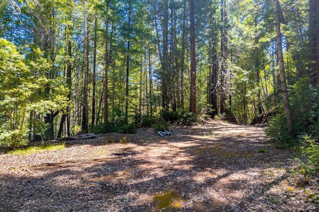 0 16125 Honey Ridge Rd, Boonville, CA 95415