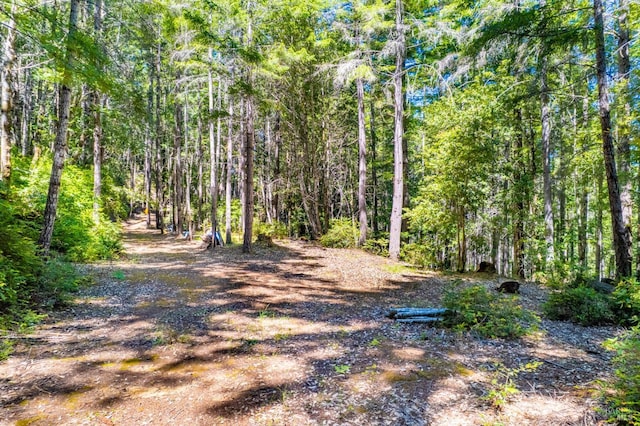 0 16125 Honey Ridge Rd, Boonville, CA 95415