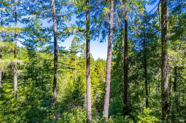 0 16125 Honey Ridge Rd, Boonville, CA 95415