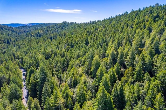 0 16125 Honey Ridge Rd, Boonville, CA 95415