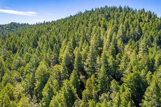 0 16125 Honey Ridge Rd, Boonville, CA 95415