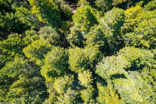 0 16125 Honey Ridge Rd, Boonville, CA 95415