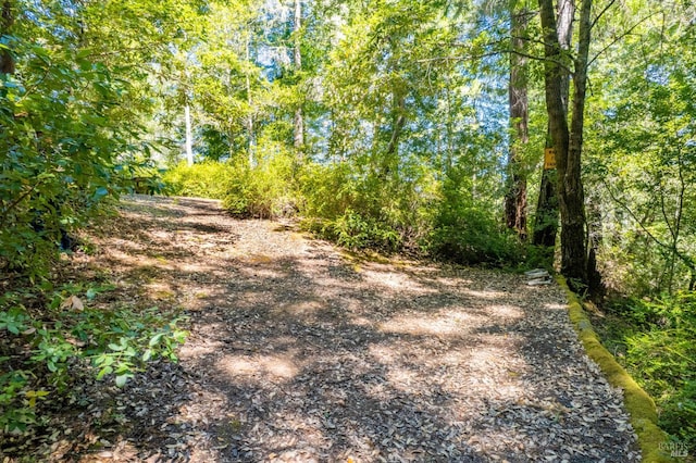 0 16125 Honey Ridge Rd, Boonville, CA 95415