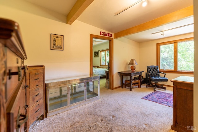 66 Spring Rd, Lagunitas, CA 94938 - carpeted office space featuring beamed ceiling