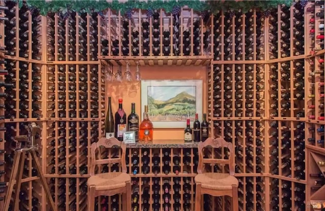 4588 Bennett Valley Rd, Santa Rosa, CA 95404 - view of wine cellar